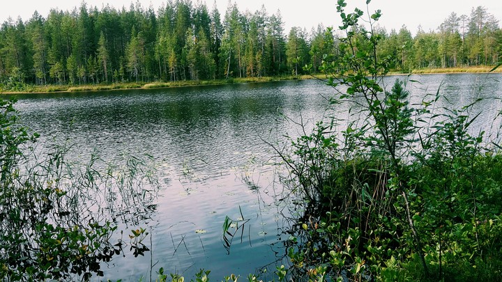 Katkavaara - Laponid