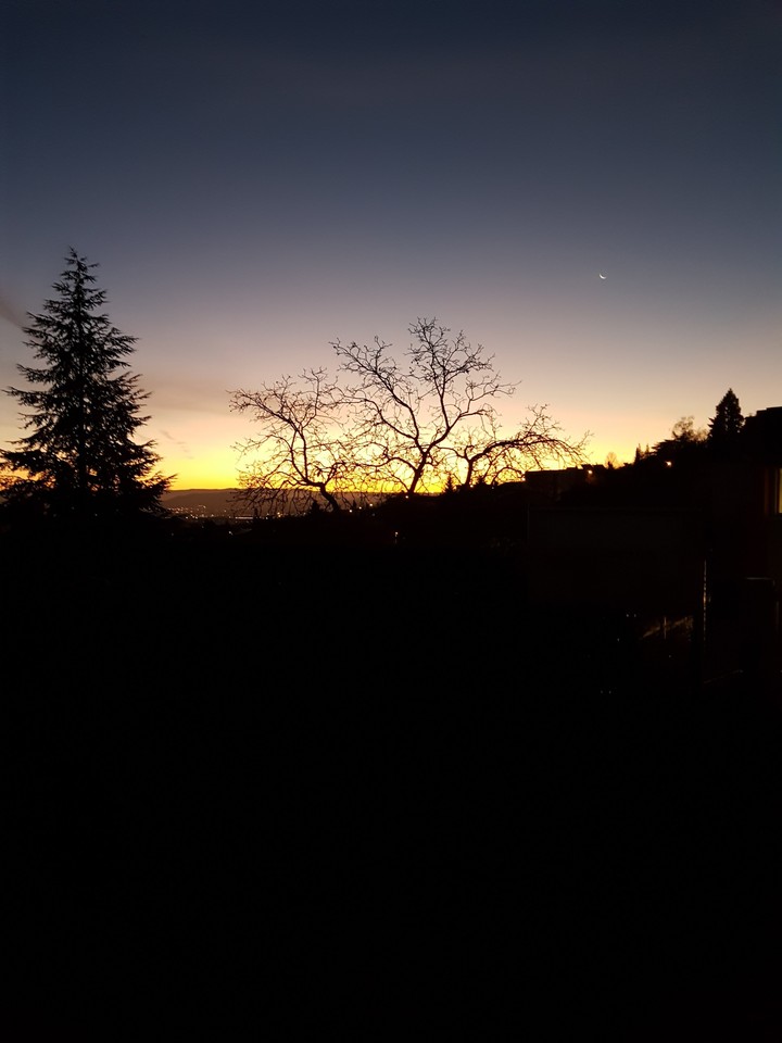 Le soleil à travers les arbres
