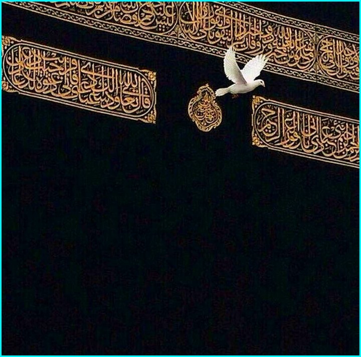 Lovely....