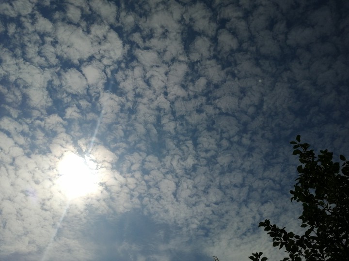 утро?, morning