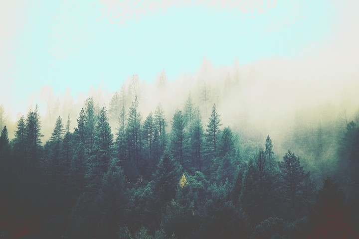 р