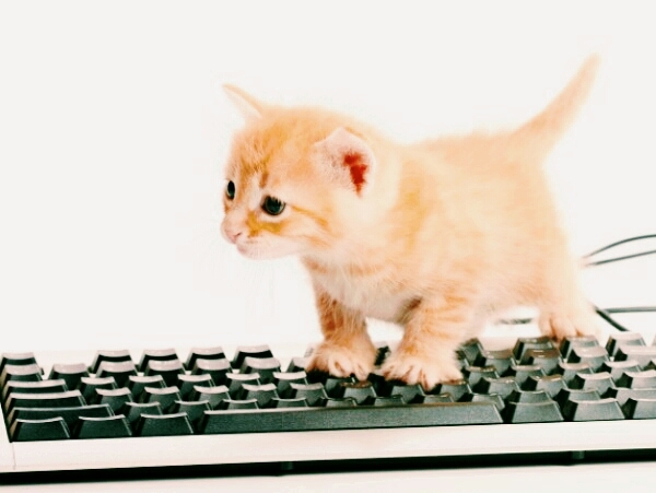 Ich will meiner Tante schreiben ⌨