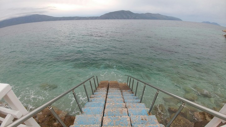 Sea Lover