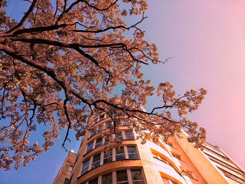 world, daytime wallpapers