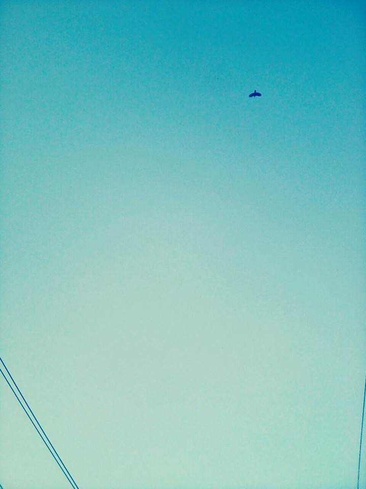 Sky blue