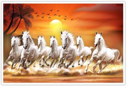7 horses