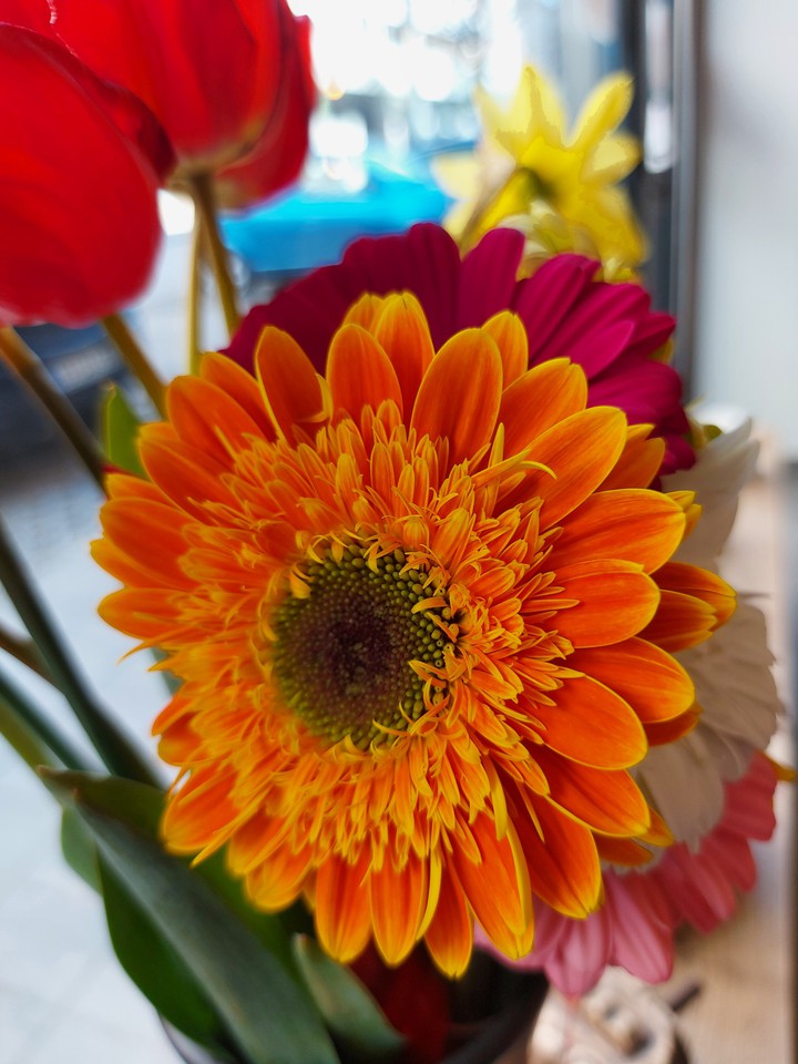 colors