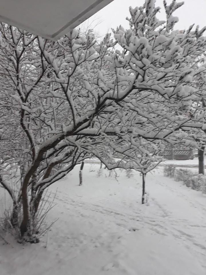 snow and ice cream