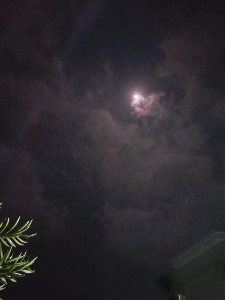 #nightdreams
