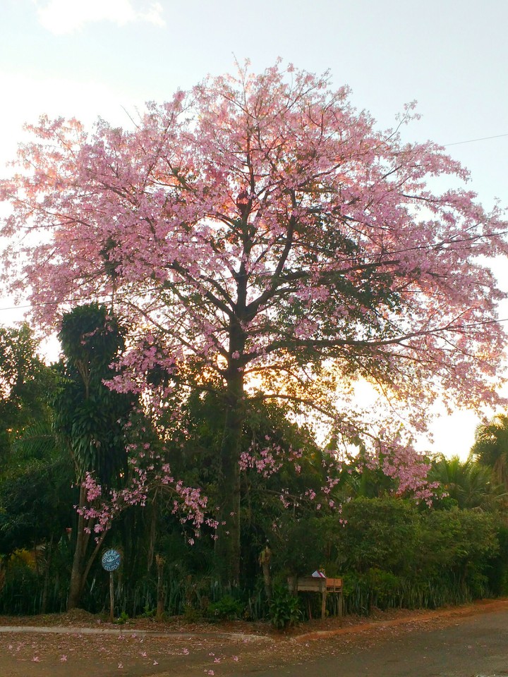 Natural beauty!