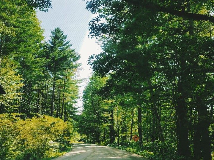 Vermont Road