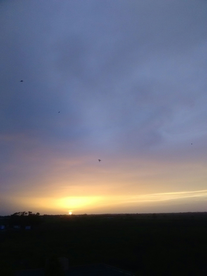 Ocaso estival
