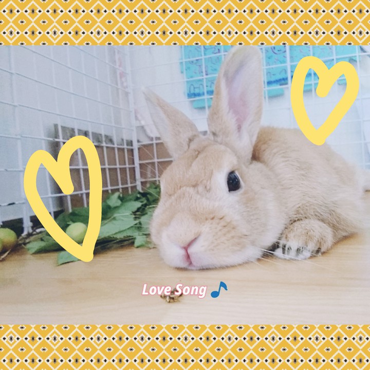 토선비♡