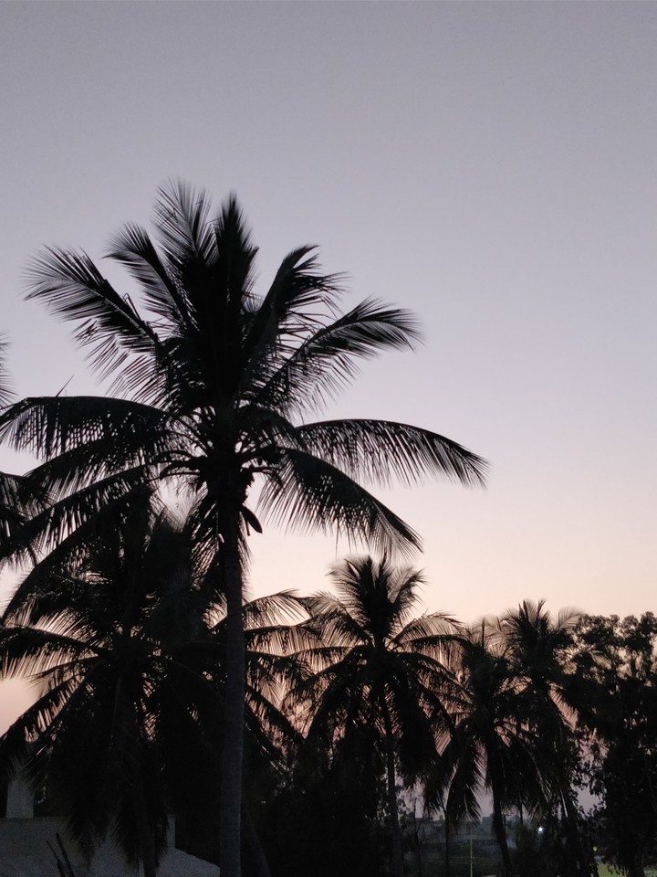 evenings