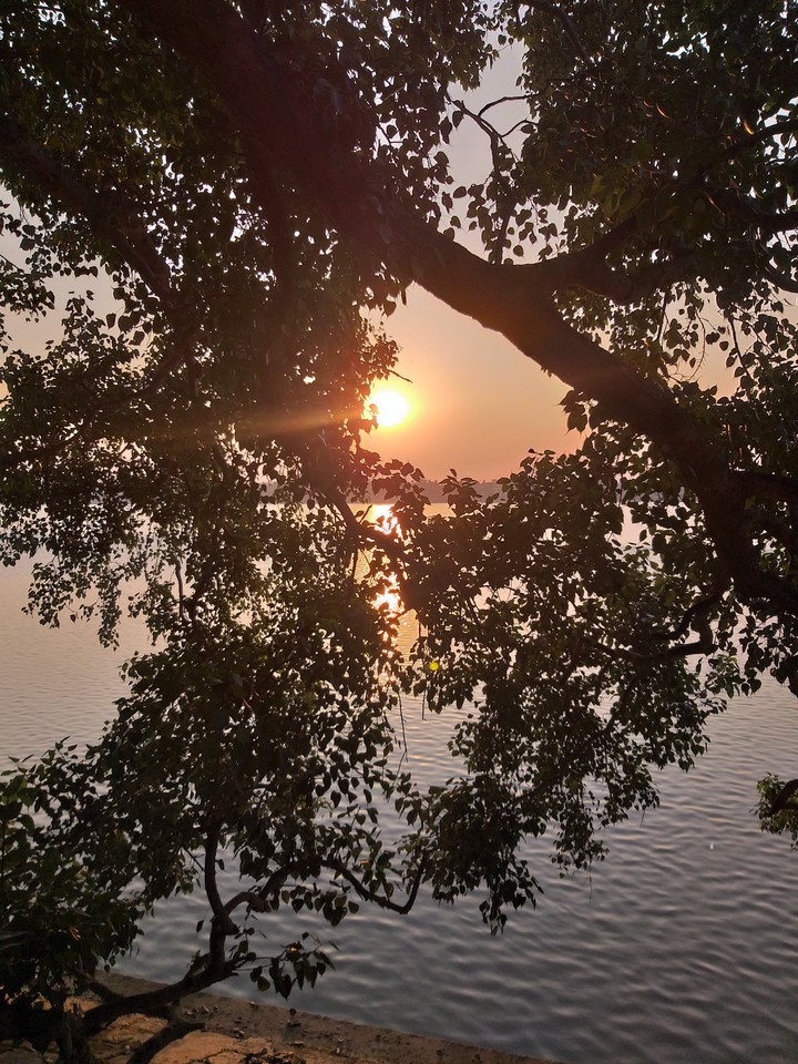 nature