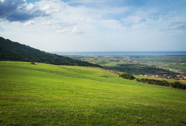 green fields