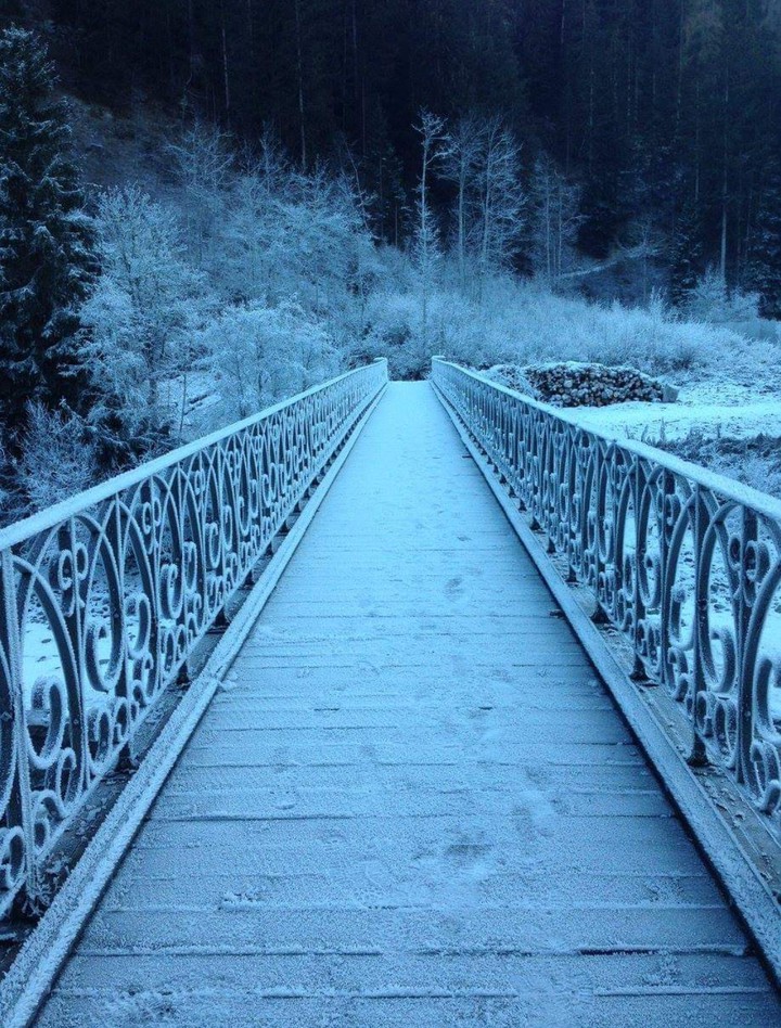 silent bridge