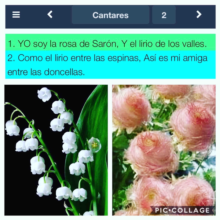 txt citas bíblicas