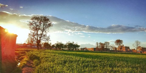 landscape