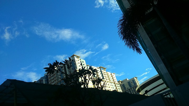 Condominiums