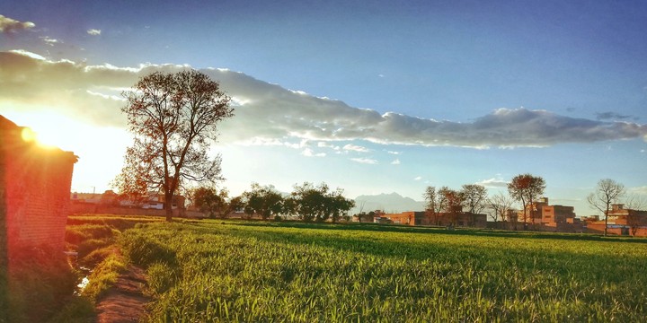 landscape