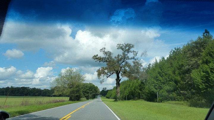 Wide Open Road
