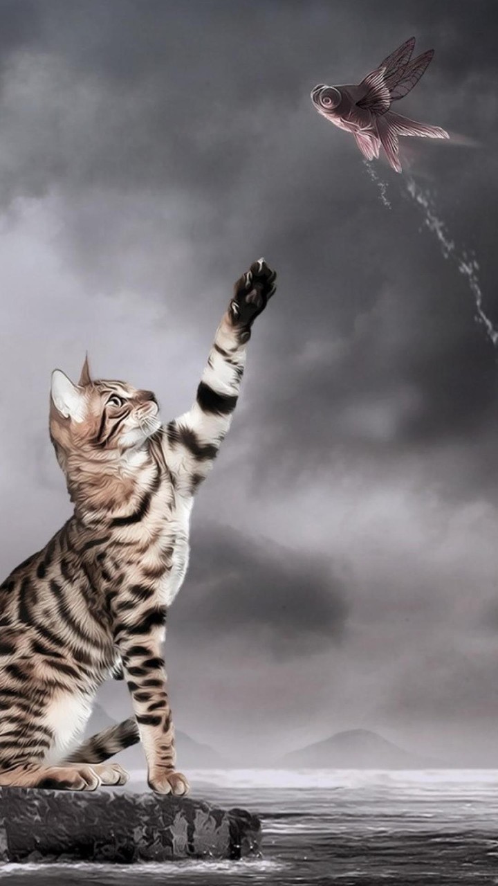 cat mmm
