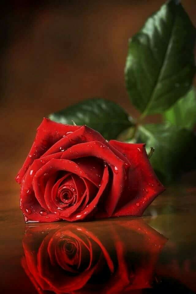 ..