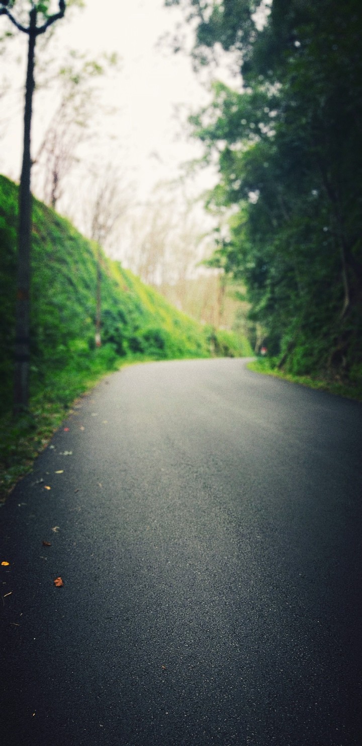 thenmala