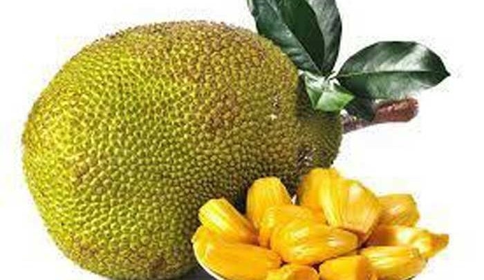 কাঁঠাল