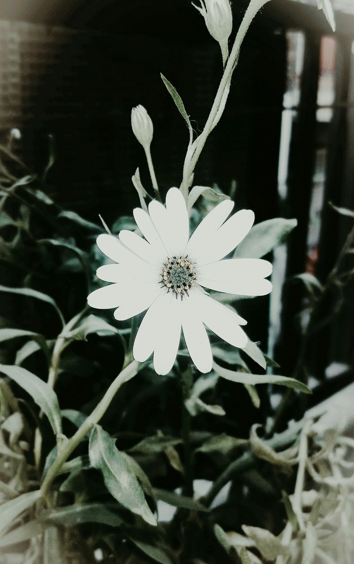 added filters