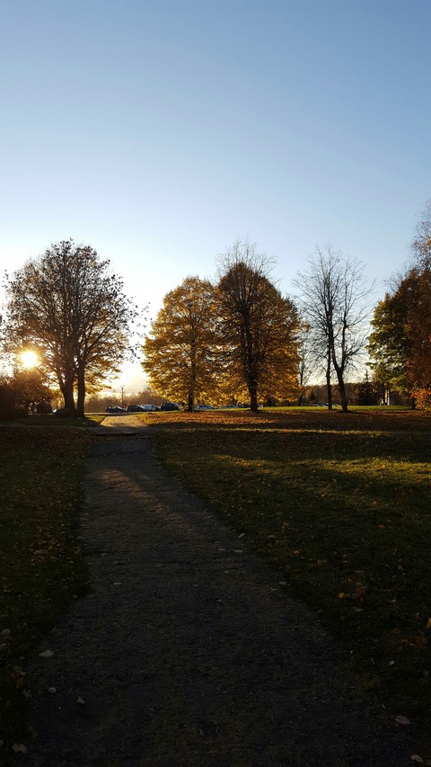 sunlight, landscapes桌布