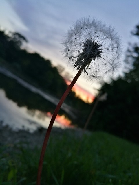 evening relax