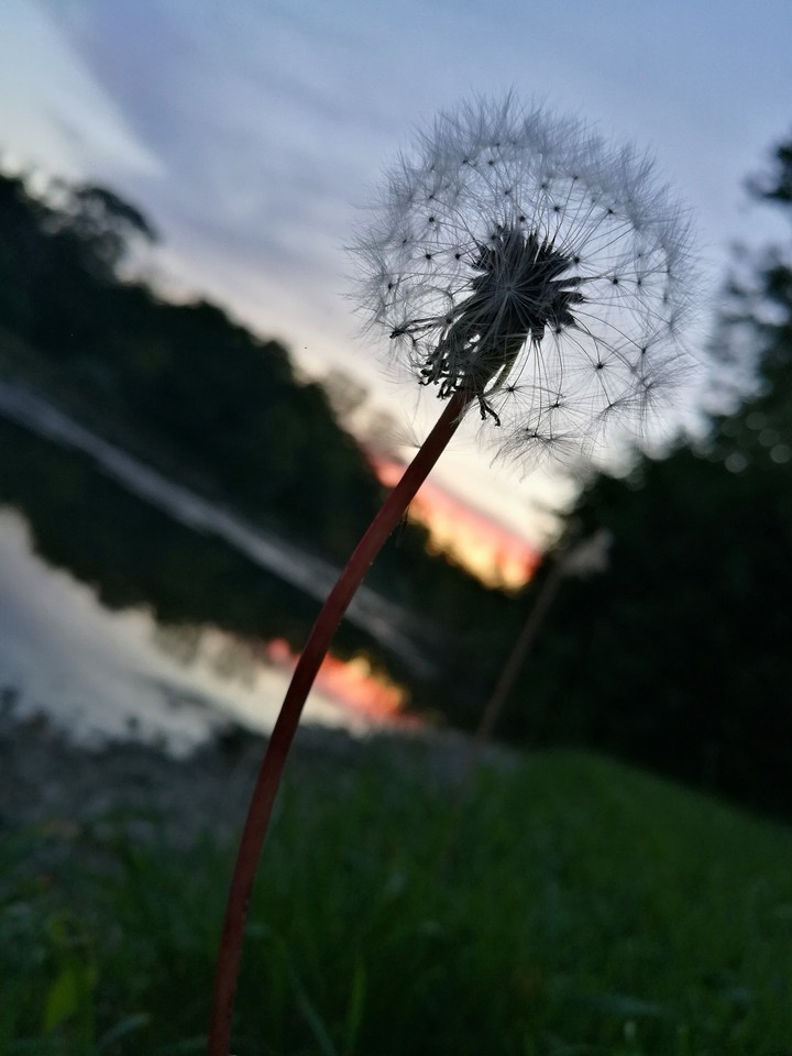 evening relax