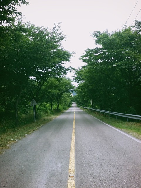 드라이브