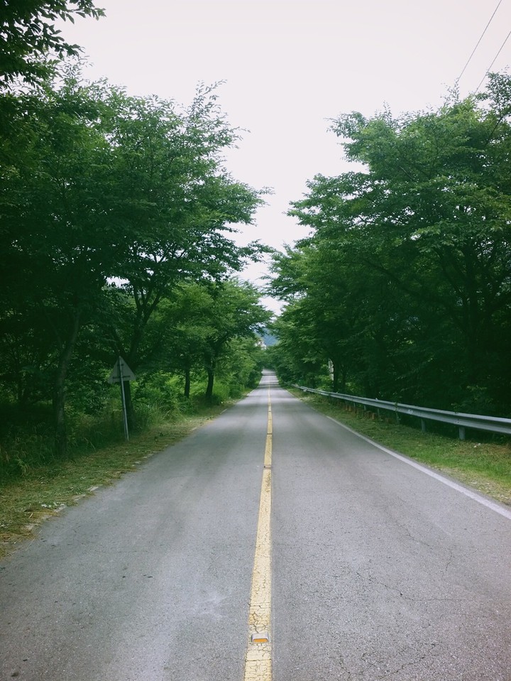 드라이브