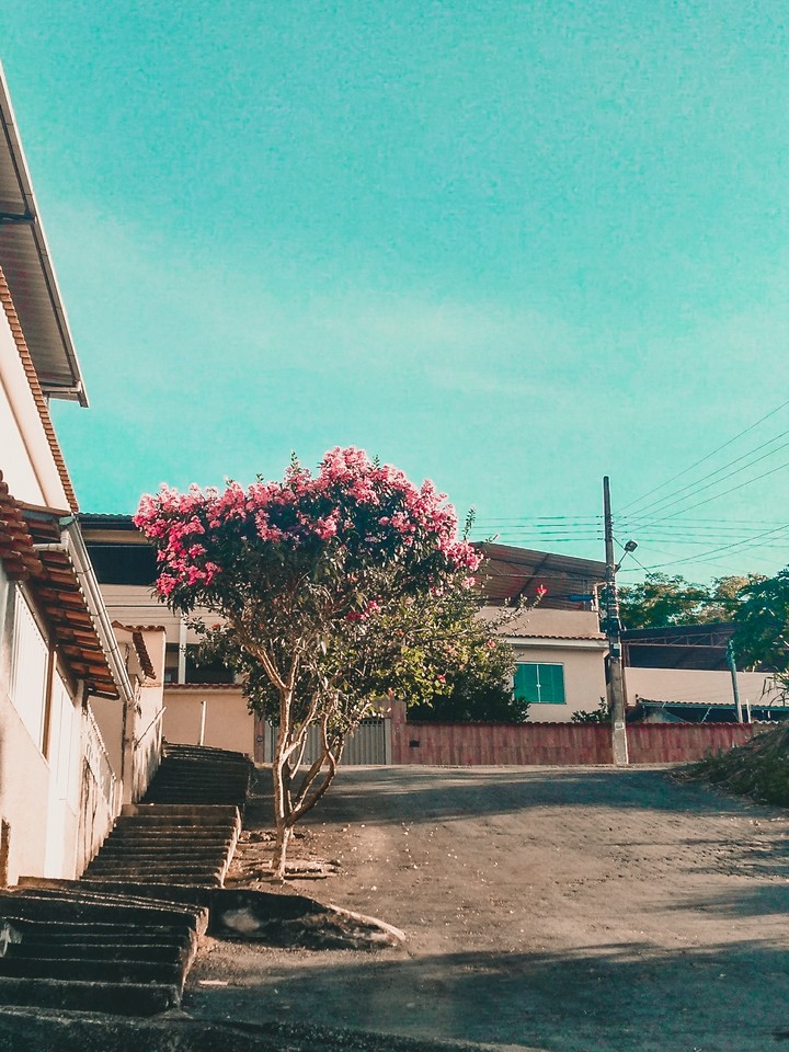 rua