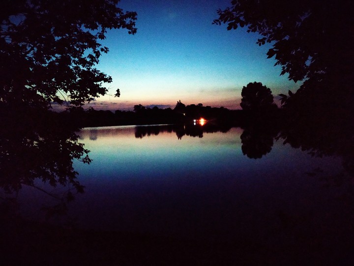 Night Light