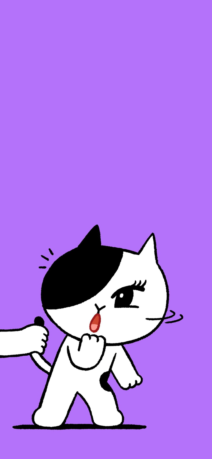 Black white cat