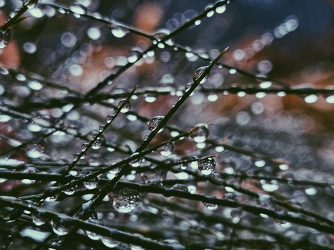 rain
