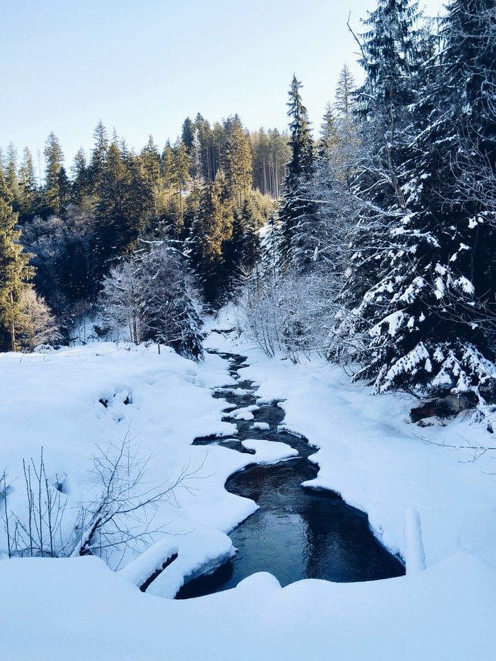 River under Goverla