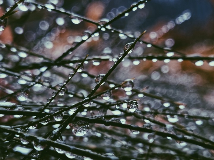 rain
