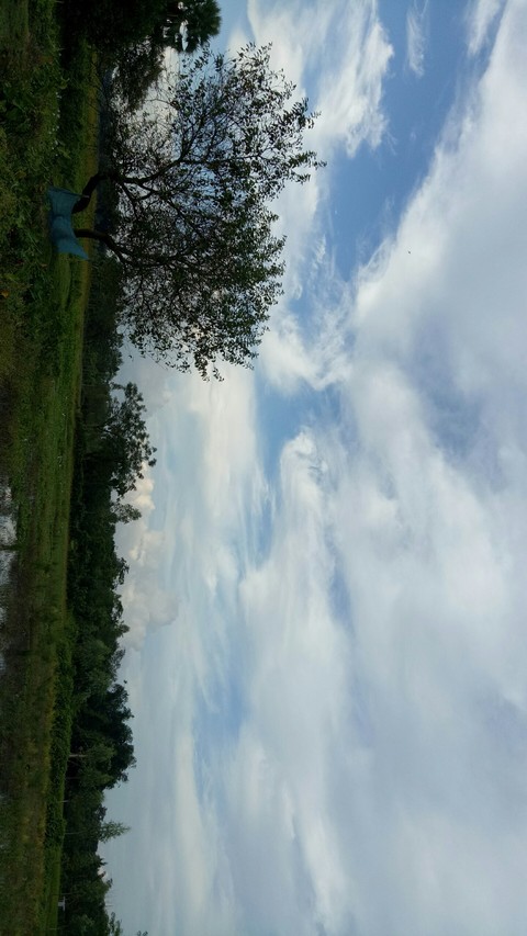 beautiful nature