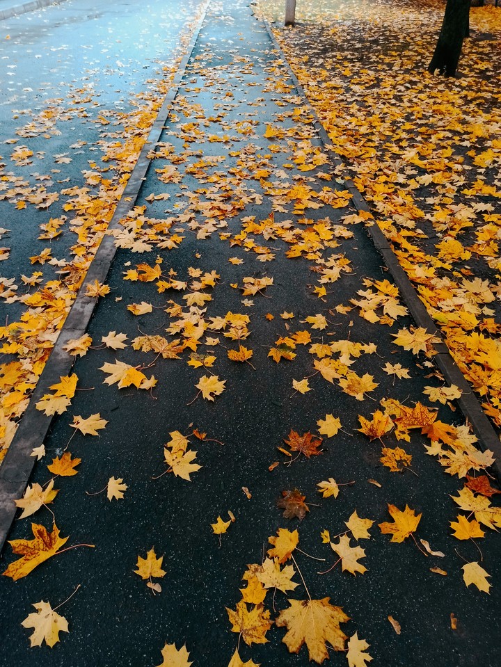 November