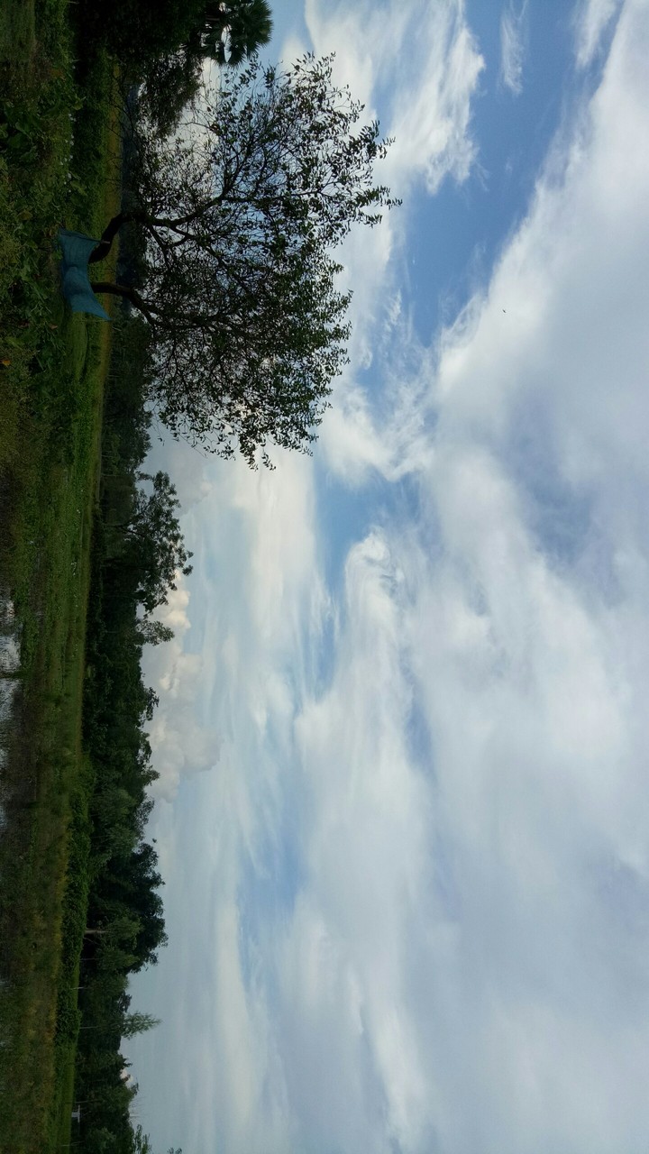 beautiful nature