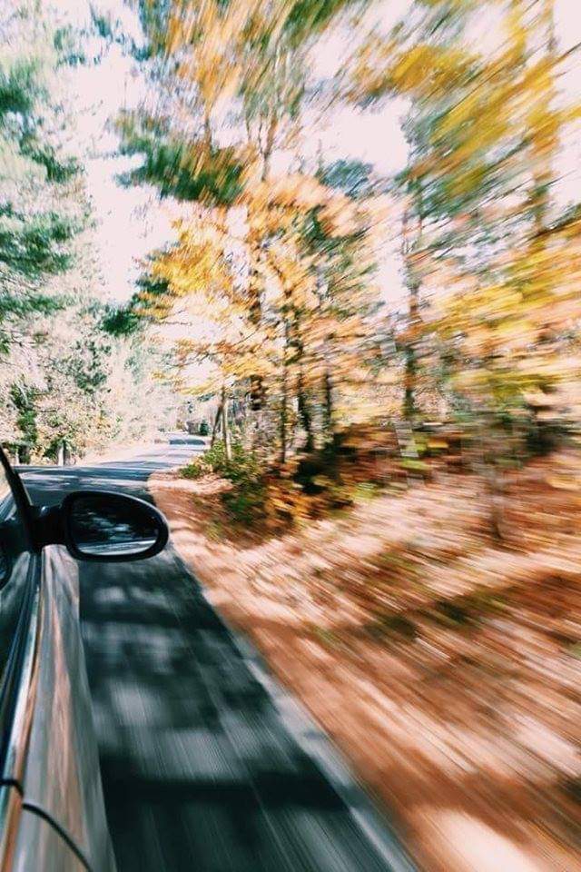 autumn