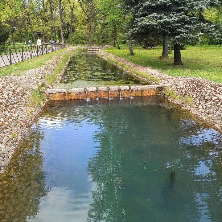Ботанический сад