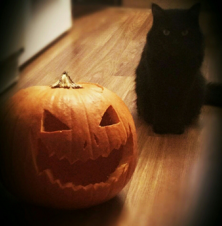 Halloween