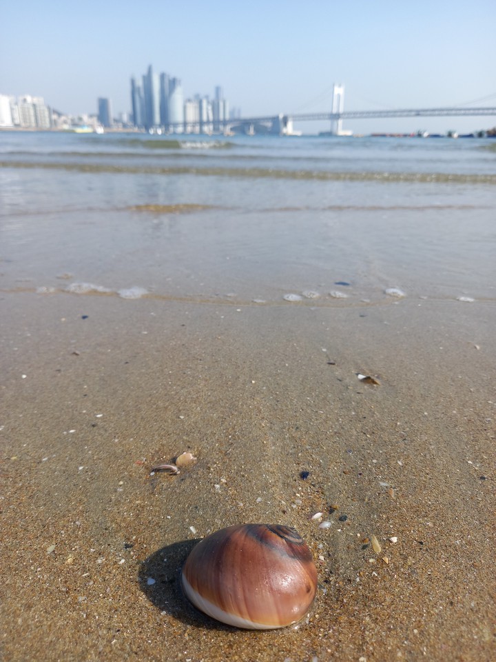 광안리