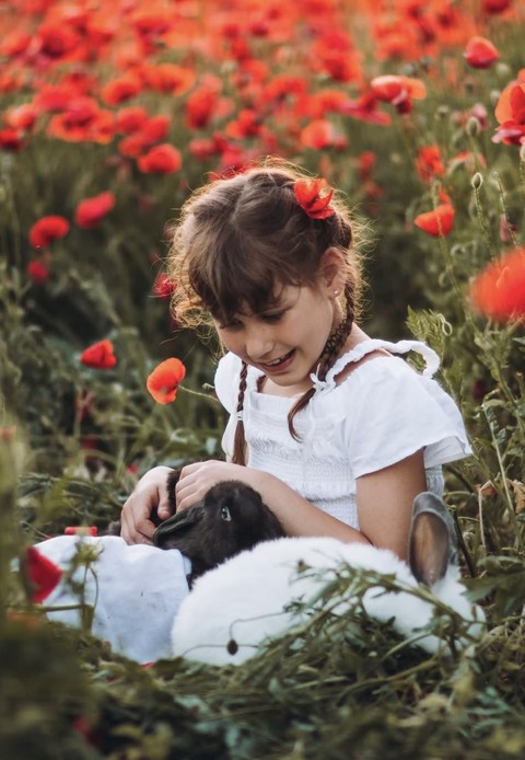 tapety red, flower